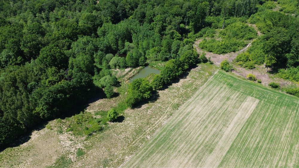Działka budowlana pod lasem z własnym stawem obok Słupska - View 4