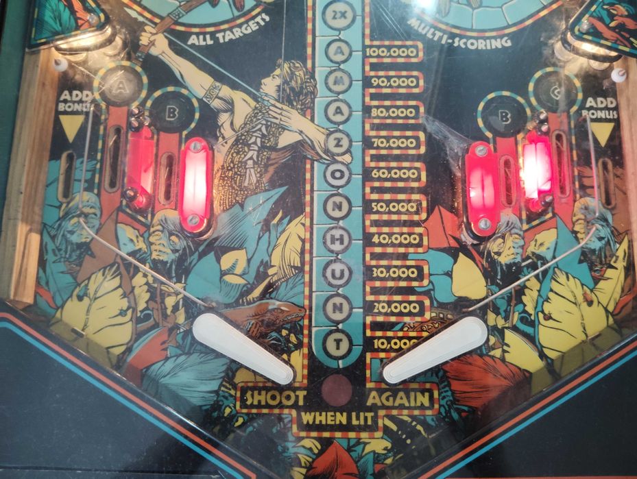 Fliper Pinball - Amazon Hunt