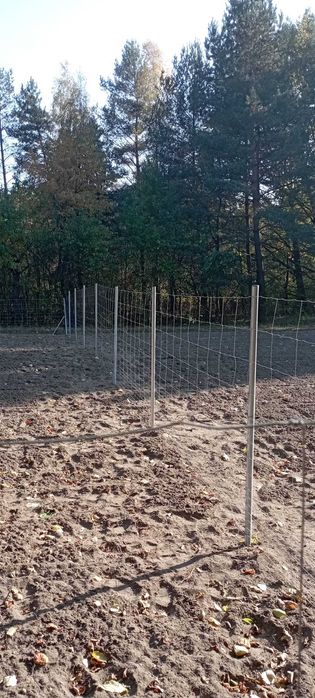 Słupek Słupki ogrodzeniowe rura OCYNK fi40 cena za 2,5m +osłonka grati