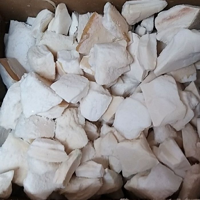 Osso de choco. Cálcio para aves, tartarugas e répteis.