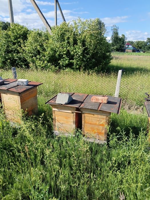 Продам українські  вулики, з магазинам на 147 рамкуи