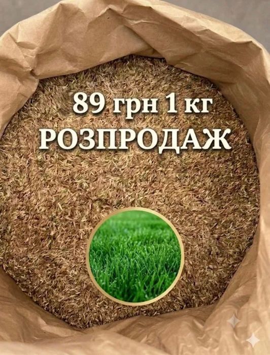Насіння універсальної газонної трави / Семена газонных трав / Семена газонной травы универсальной