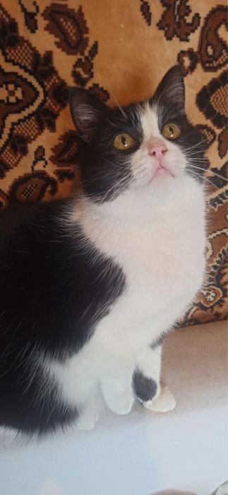 В добрі відповідальні руки