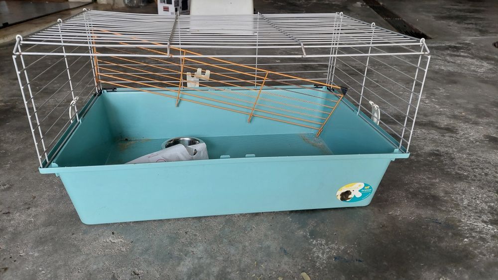 Gaiola para coelhos