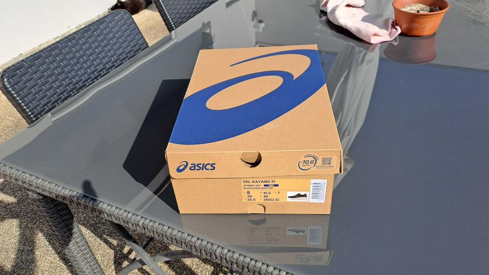 Ascis Gel-Kayano 31