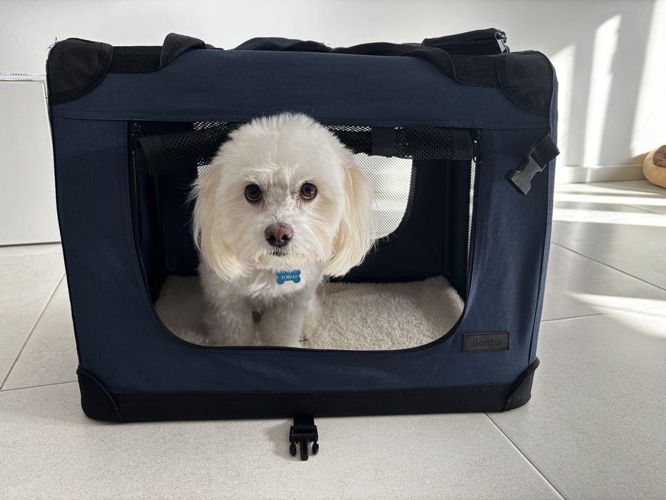 Caixa transportadora para animais