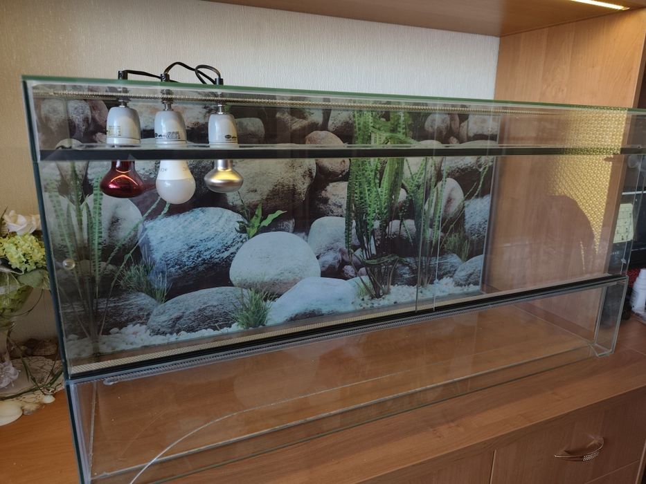 Terrarium szklane 100×40×50 cm używane | Poznań