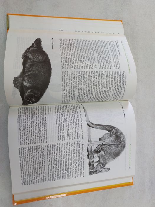 Biologia. Praca zbiorowa