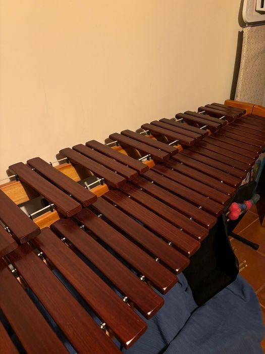 Marimba de estudo