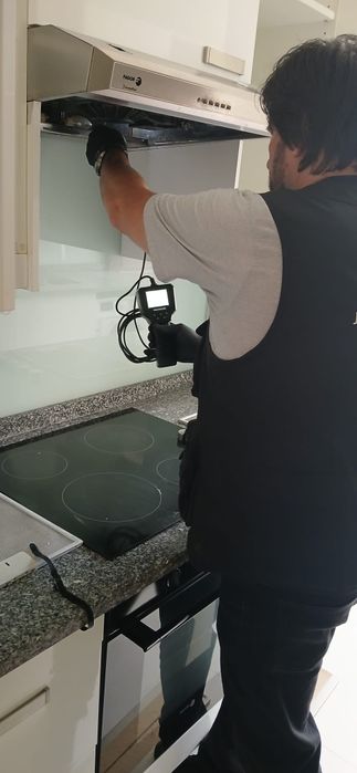 Desinfestação de baratas