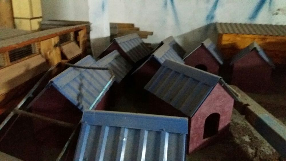 Клітка кроляча б у