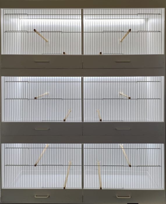 Gaiolas pvc para periquitos