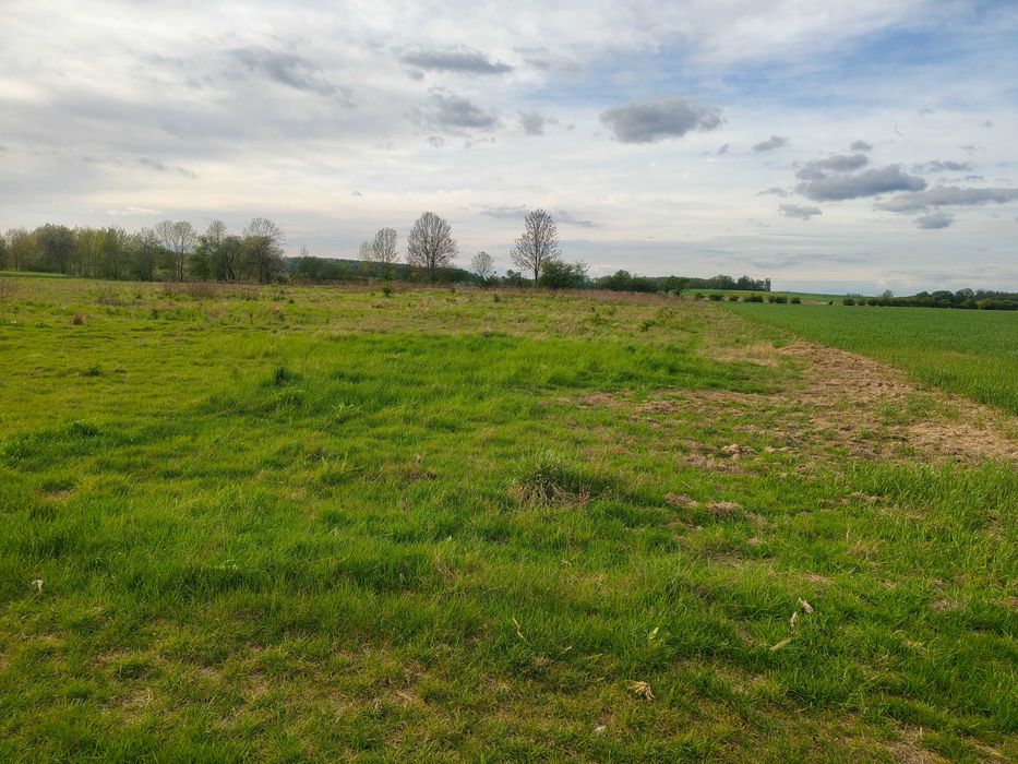 Działka rolna 0,72 ha Jabłonowo k. Mirosławca – klasa RIV, bez KOWR!