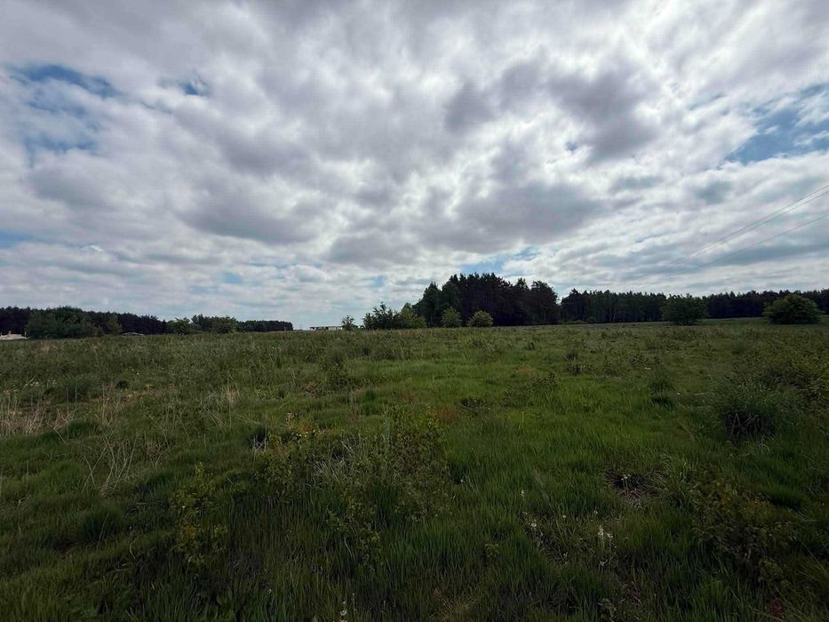 Działki z MPZP Nużewo - Widok 5