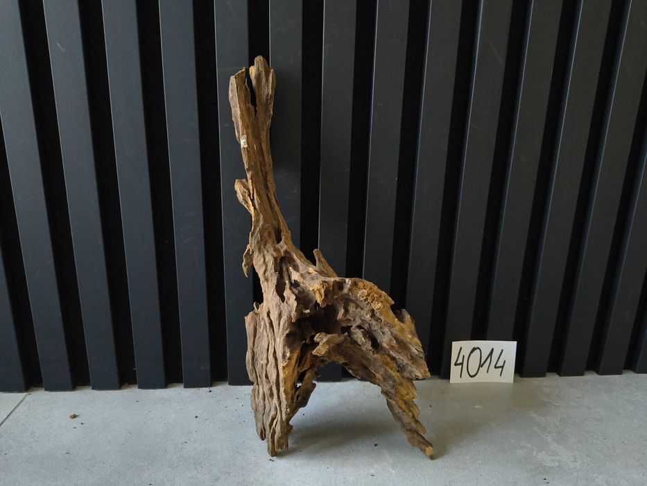 korzeń Driftwood Dragonwood 4014 DZIURAWY akwarium terrarium 33x16x12