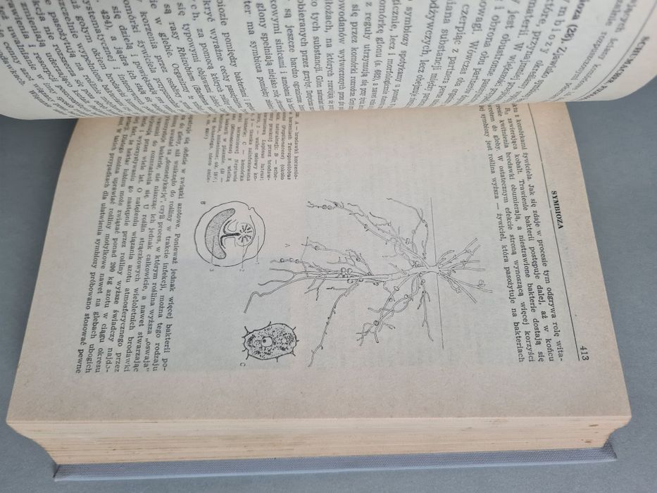 Botanika - E. Strasburger