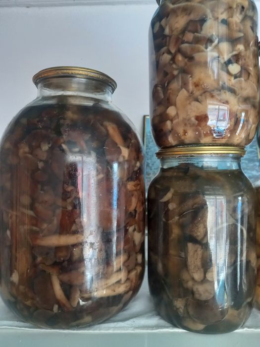 Продам мариновані гриби