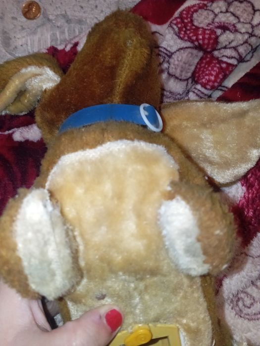 Cão sem pilhas n sei se funciona