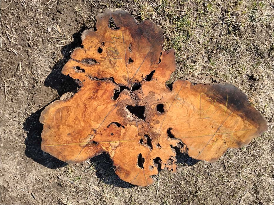 Stół z drewna oliwnego