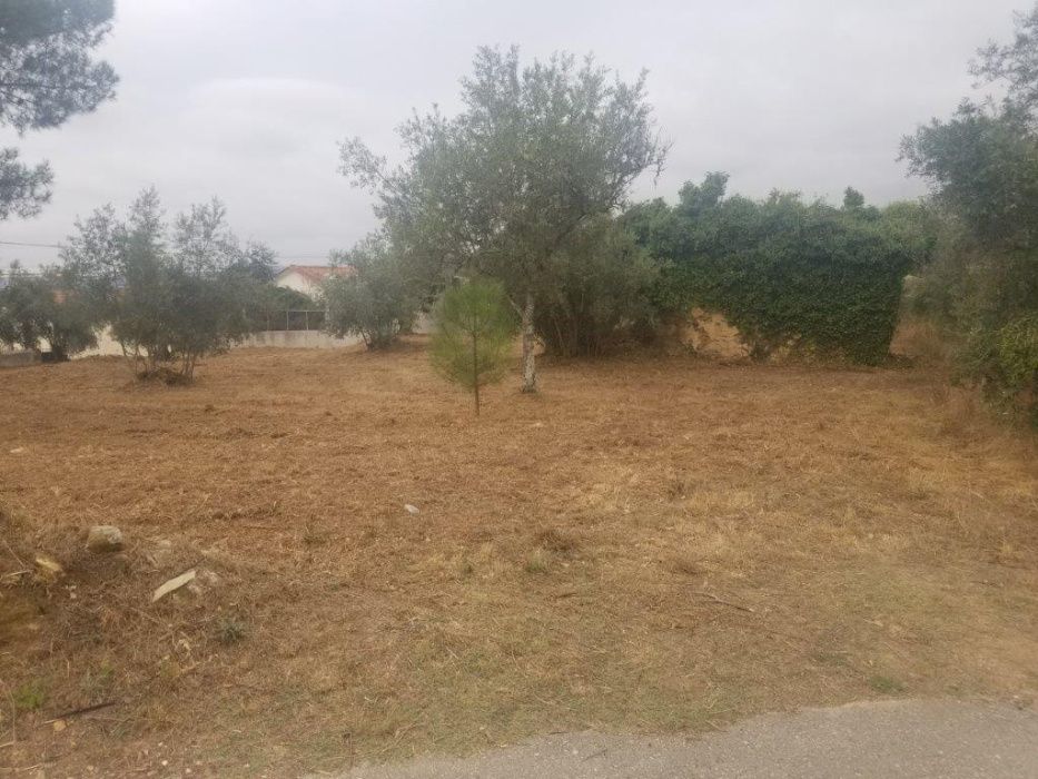 Terreno Urbano para construção 1577m2 Coimbra - VNP Pinheiro