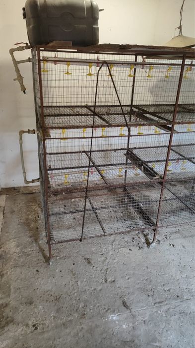 Клетка для птиці ( бройлер )