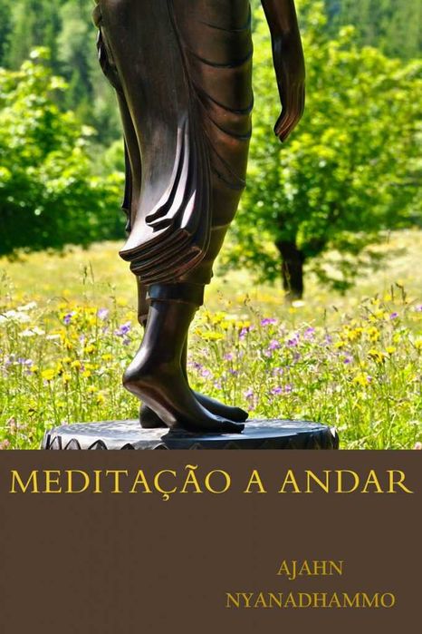 Livros Tema Meditação (Portes grátis)