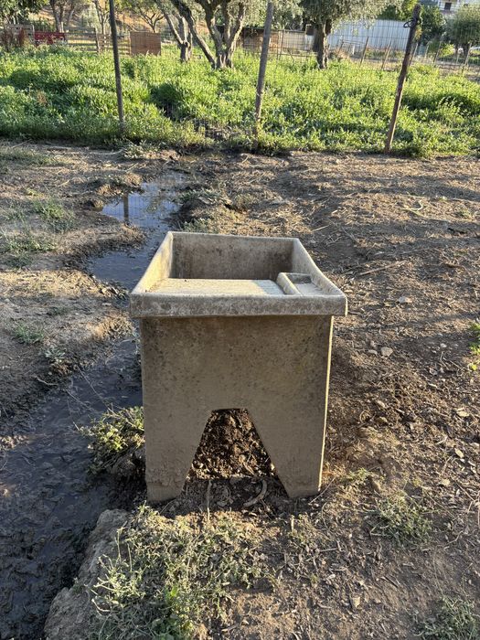 Tanque de Lavar Roupa Antigo em Pedra / Cimento – Ideal para Decoração ou Uso