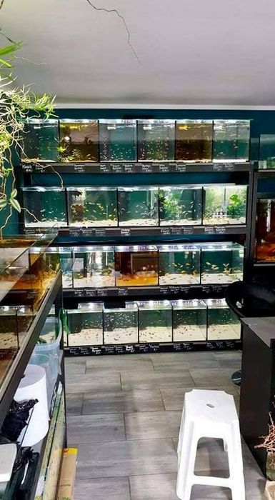 Szafka pod akwarium, stelaż pod akwarium,zestaw akwarystyczny