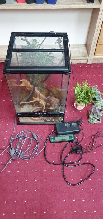 Терраріум, термостат, обігрів та акссесуари. Все для геккона, фельзуми