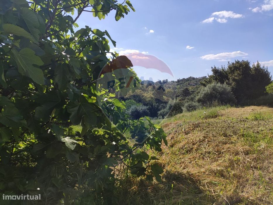 Terreno  para venda
