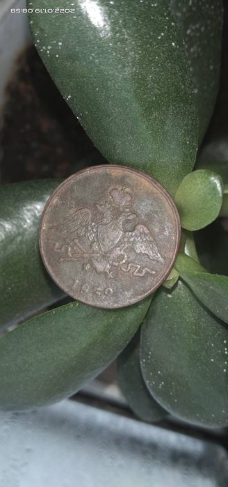 Монети старі різні