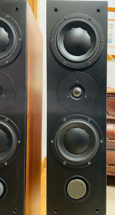 Colunas Dynaudio Audience 122