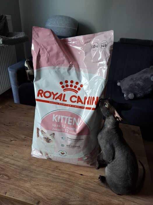 Karma 10kg royal canin
