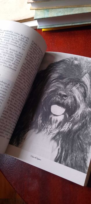 Criação de Cães - Manuel Castelo Branco