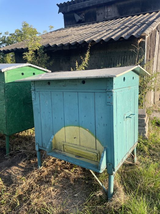 Sprzedam ule wielkopolskie leżaki