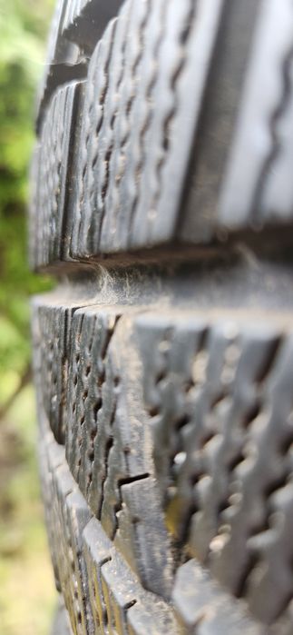 205 55 16 резина