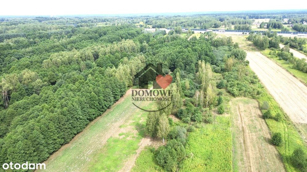 Działka pod zabudowę usługową przy autostradzie – pohled 5
