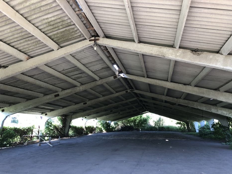 Клюшечник, зерносклад, ферма.