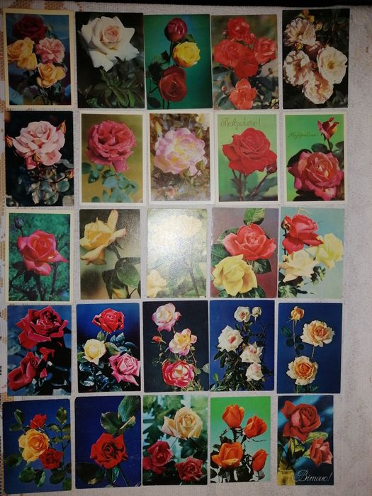 Открытки Розы, цветы. . Чисті листівки. Квіти.