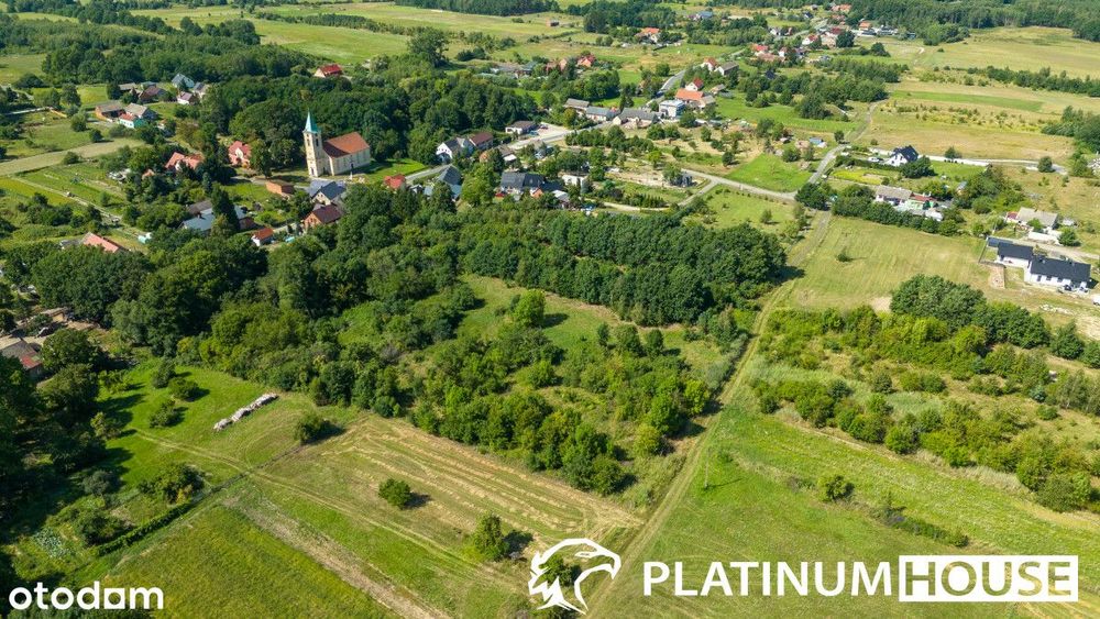 działka 7 900 m² z Decyzją O Warunkach Zabudowy - Widok 5