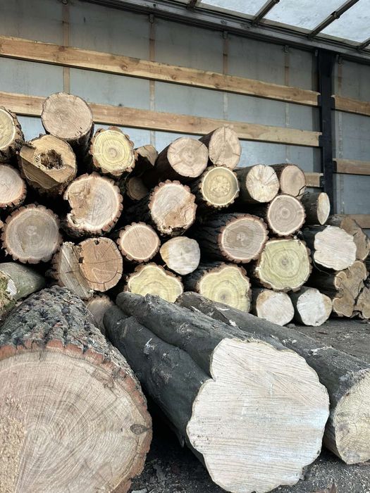 Дрова акация сухая