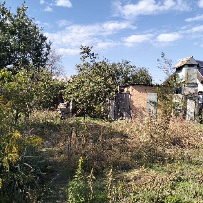 Дача.  Золотой ренет Продам