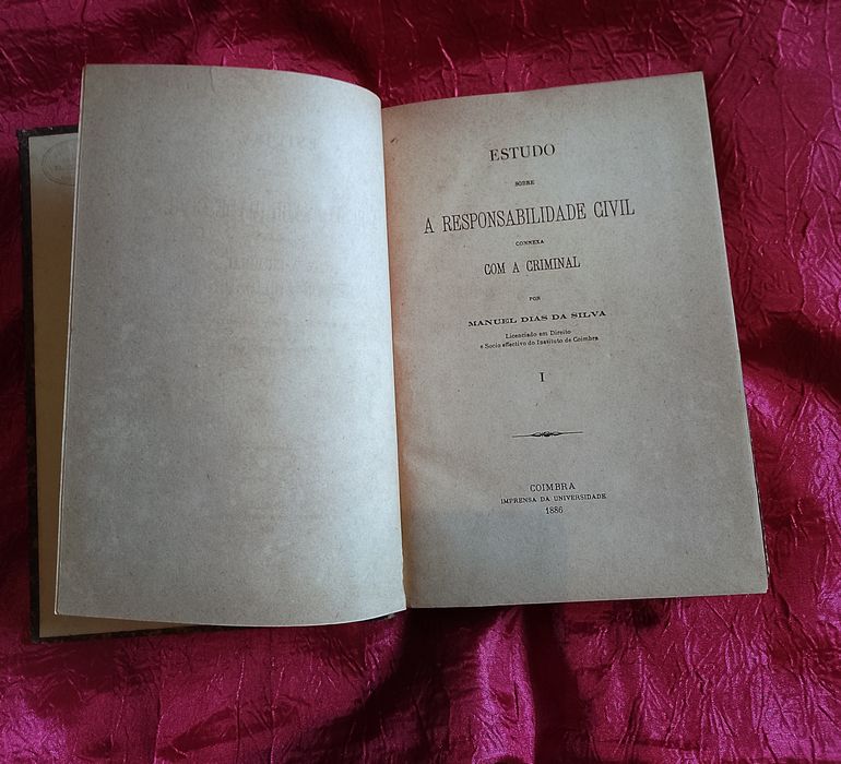 A Responsabilidade Civil Conexa com a Criminal