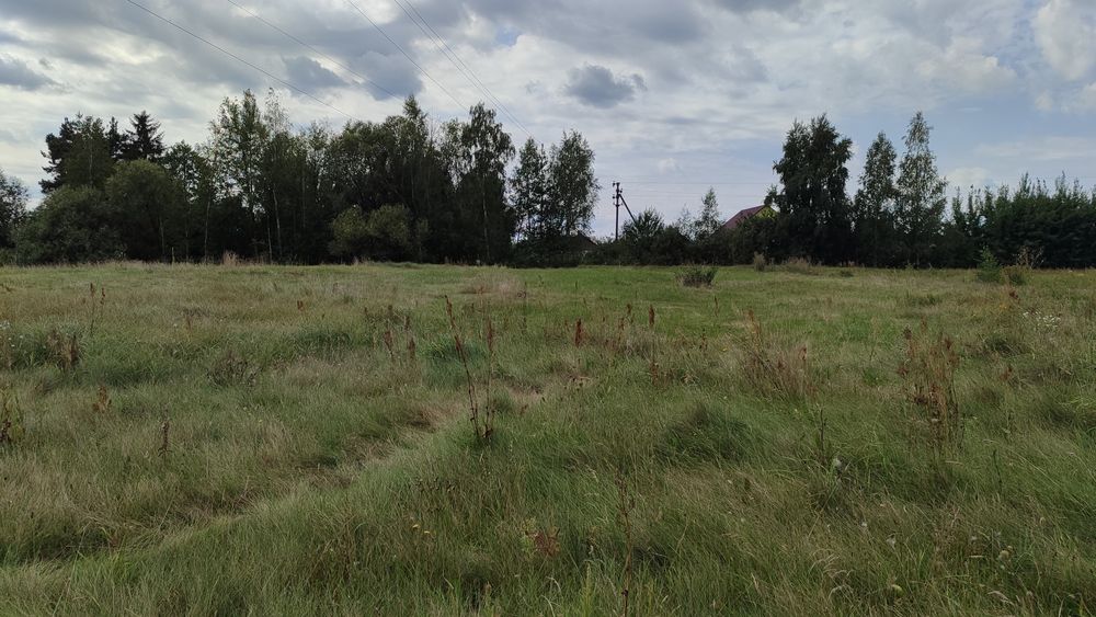 Продам ділянку в с.Березівка