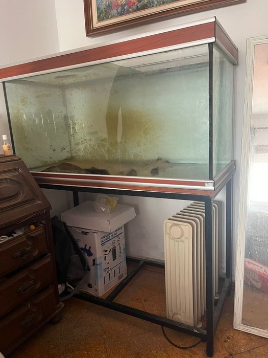 Aquário 500 litros + móvel em metal