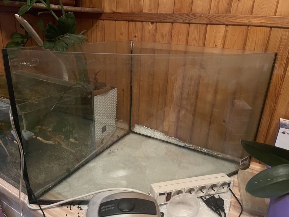 Аквариум трикутний