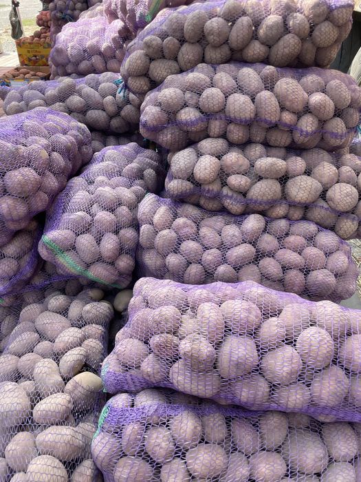 Продам картоплю