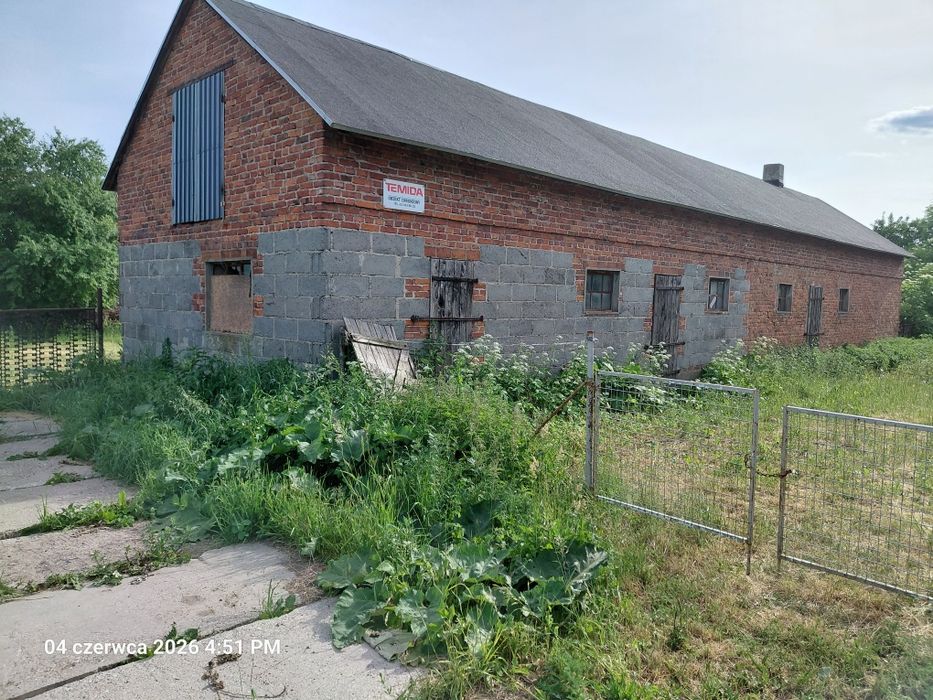 Sprzedam pole z starymi zabudowaniami.   5 ha kl 3a 3b ziemia rolna - Widok 6