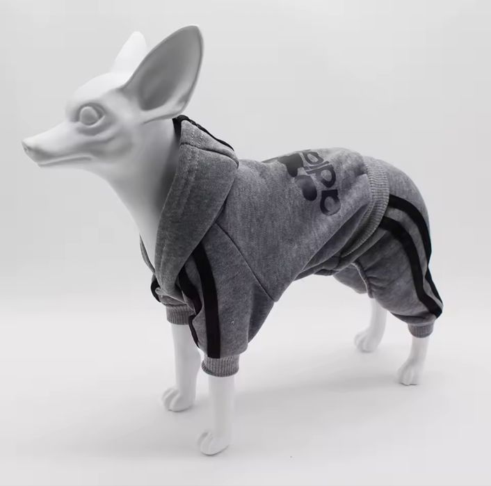Одяг для вашої собаки