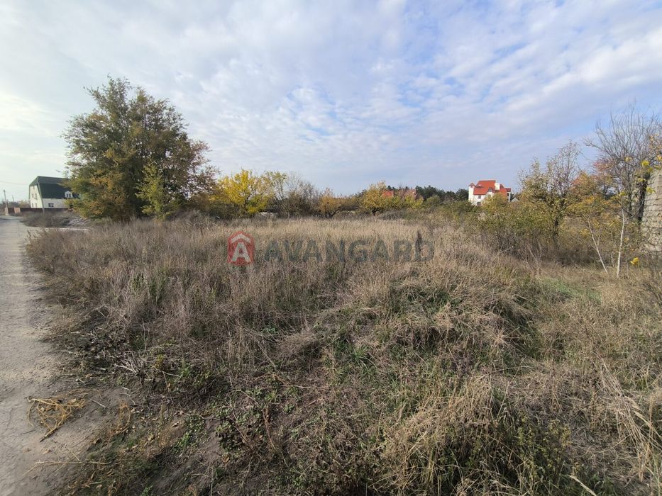 У продажу земельні ділянки в Курилівці.